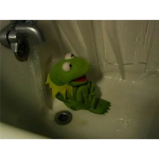 kermit, kermite frog, frog cermit, the frog kermite the bathroom, the frog kermit is waiting for the bathroom