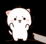 kucing, kawai, kawai seal, kucing persik mochi, kawai kucing putih