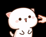 kawai cat, kawai seal, animals are cute, mochi mochi peach cat