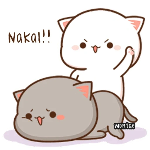 kawaii cat, gato de pêssego mochi mochi, adoráveis gatos kawaii, kawaii cats um casal