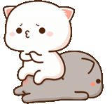 seal kawai, gatto di pesca mochi, simpatica figura di chibi, modello di gatto carino, immagini di sigilli carini
