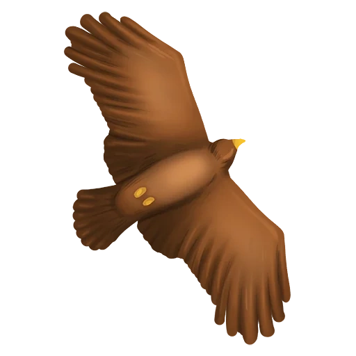 águila que cae, pájaro de un gorrión, animales de pájaros, pájaros de dibujos animados, imagen borrosa