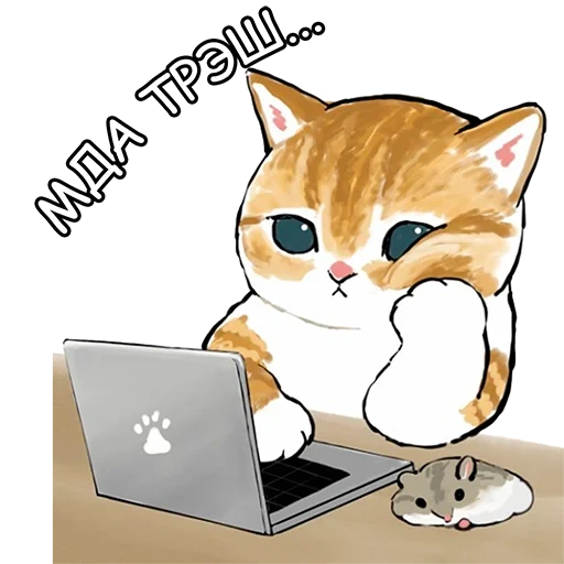 phoques, charmant phoque, patterns mignons pour chats, dessins de phoques mignons, mignon chatte derrière l'ordinateur