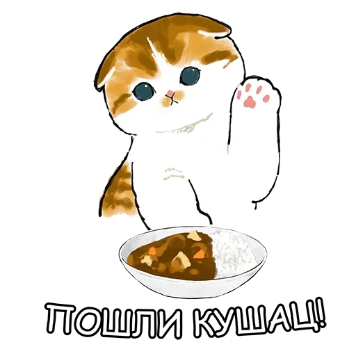 cat, seal, mofsha, mofi_sand cat