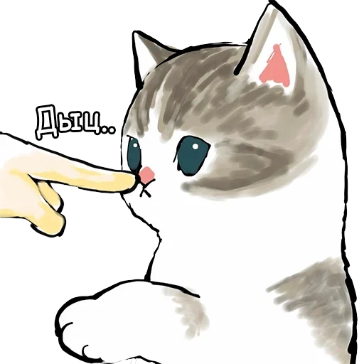 illustrazione del gatto, diagramma del sigillo, modello di gatto carino, modello di gatto carino, immagini di sigilli carini
