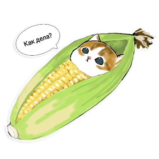 funny, cats are cute, a lovely pattern, animals are cute, live corn