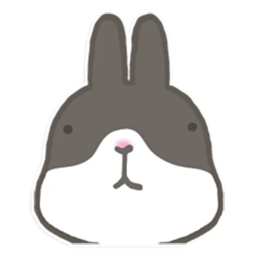 bunny, rabbit, dear rabbit, rabbit machiko, a small muzzle of a hare
