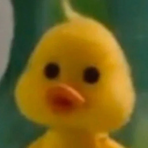 noot, bebek, twitter, i feel so, murphy duck
