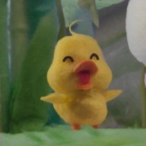 emote, duck, duckling, duckling mofi, duck penny