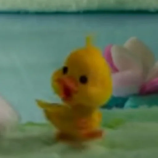 duck, duckling, duckling mofi, duck duck, sad duckling