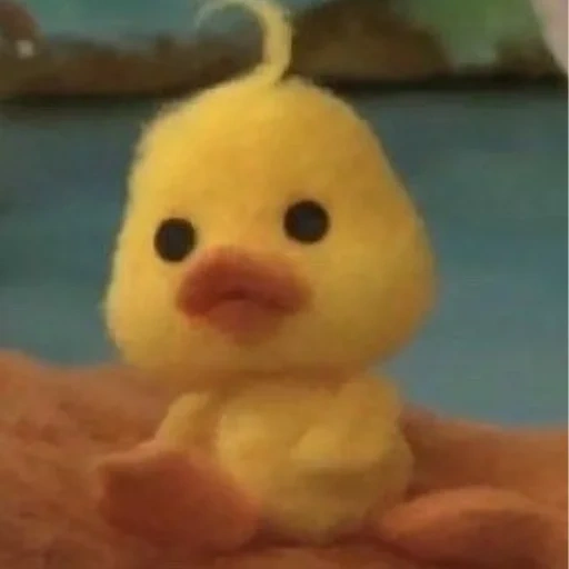 duckling, a toy, duck duck, duckling mofi, duck penny