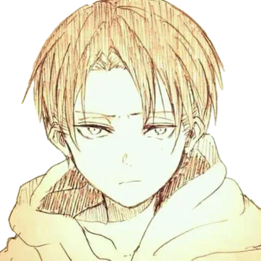 anime boy, levi ackerman, immagini di anime, levi ackerman, levi ackerman junior