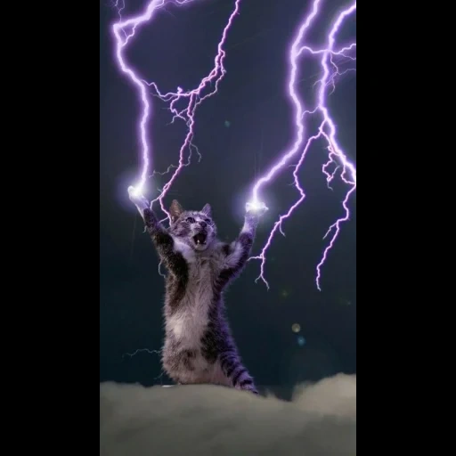 décharges, le chat est la foudre, cat lightning, kitty avec lightning, électricité statique