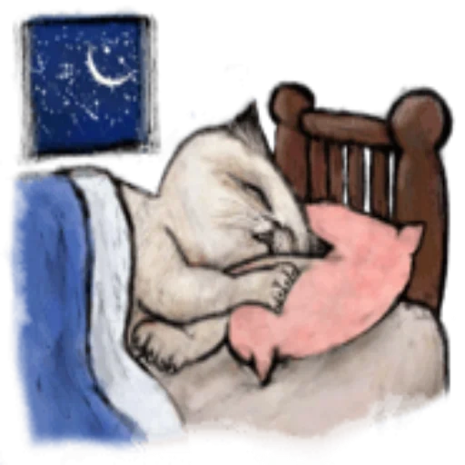 gatto, sogni d'oro, bunny addormentato, grandi disegni carini, citazioni sul sonno divertente