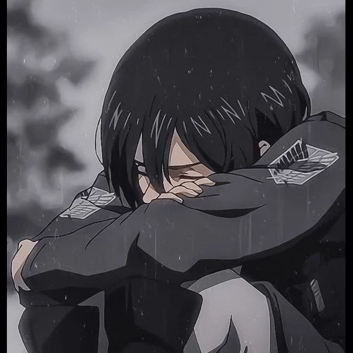 attacco dei titani, l'anime è triste, personaggi anime, l'attacco dei titani prevede, mikasa attack of the titans