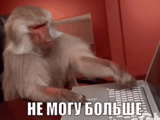 la scimmia sta facendo un computer, scimmia dietro un laptop, scimmia dietro il computer, scimmia meme davanti al computer, scimmia meme davanti al computer