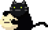 gato píxel, pixel de lobo marino, pixel de gato, gato píxel, focas de píxeles