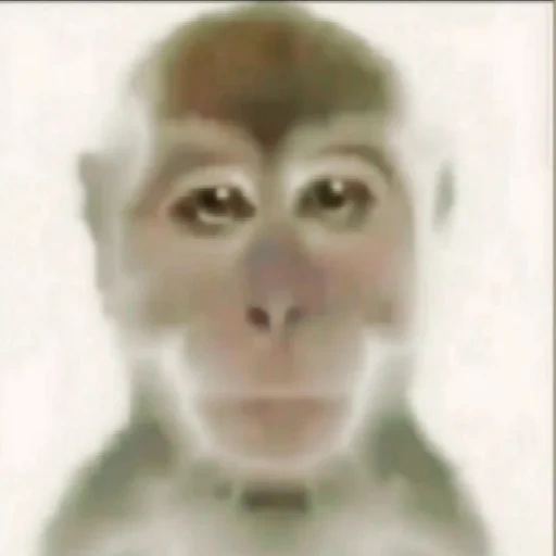avatar, ребенок, человек, обезьяна, обезьяна мем