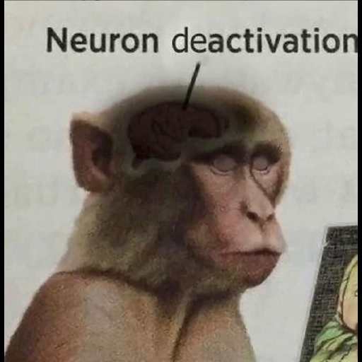 прикол, обезьяна, монке обезьяна, neuron activated мем, нейрон активирован мем