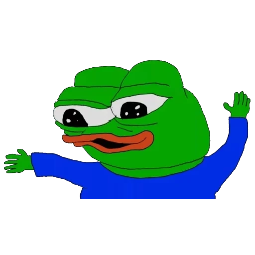 pepe, frog pepe, pepe frog, pepe sapo, rana pepe