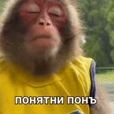 ʕ ᴥ ʔ, jokes, funny monkeys, funny monkeys, the monkey is smart to the left
