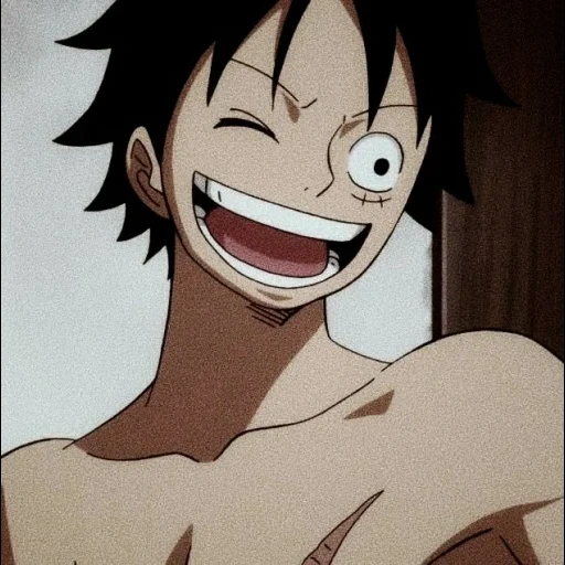 luffy, van pease, luffidio, mankey de luffy, funny moments of animation