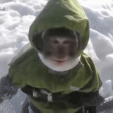 chico, humano, humor invernal, broma de nieve, i9bonsai funee monkee