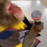 palhaço, naziki ucraniano, macaco orangotango, mostrar capitão gaffi gafa, jimmy ji sr boss move o vídeo oficial de booty 1996