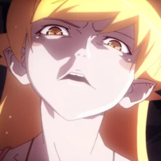 anime, monogatari, oshino shinobu, anime bakemonogatari, the tire is erroneously adult