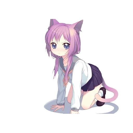 anime, anime kucing, anime kucing, anime neko kus, anime gadis kucing