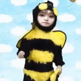 nicky bee, jas lebah, jas lebah, setelan bee girl, setelan karnaval lebah