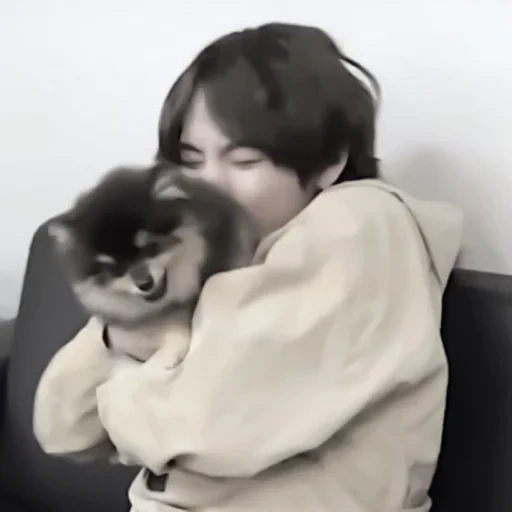 cats, bts de taiheng, jimin bts, taehyung kim, bts jungkook