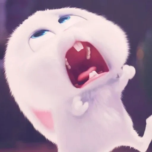 taekook, кролик снежок, кролик смешной, животные милые, snowball мультик