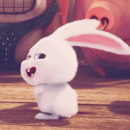 baby bunny, милый зайчик, кролик снежок, зайка мультика, тайная жизнь домашних животных кролик снежок