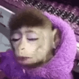 le singe est drôle, maquillage de singe, singes faits maison, singe peint, singe peint