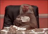 shupik, dinero, mono a la oficina, fotos de amigos, mono con dinero