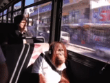 piernas, humano, en vivo, autobús de mono, transporte público