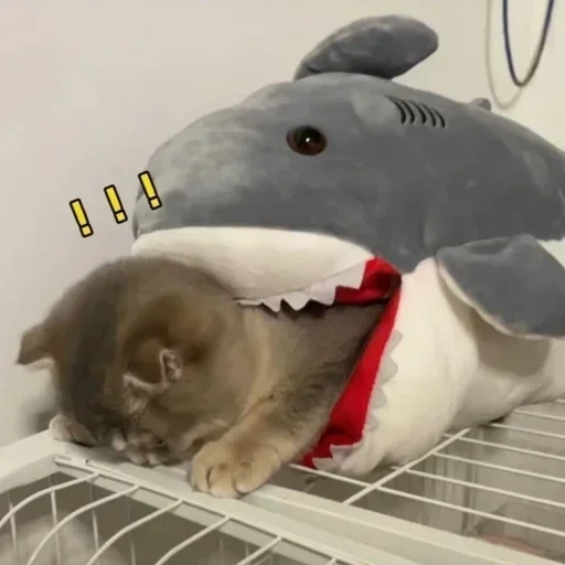 hiu, ikea shark, mainan hiu, hiu mainan mewah, mainan mewah hiu 200cm