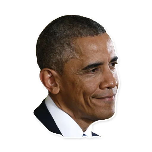 pacchetto, barack obama, obama gordon, presidente di obama, barack obama gordon