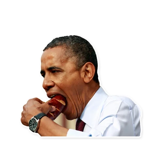 sip, screenshots, barack obama, barack obama meme, barack obama raucht