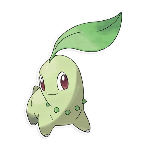 pokemon, pokemon chicorita, disegni di pokemon di chicorite, pokemon chikorita evolution, disegni pokemon chicarite colorati