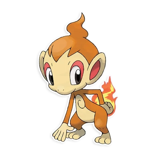 chimchar, pokemon, chimchar shaini, chimchar pokemon, evolution of pok é mon chimchar