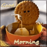 biscuit du matin, bonjour les cartes postales, bonjour drôle, bien cool le matin, avec un bon matin le biscuit est cool