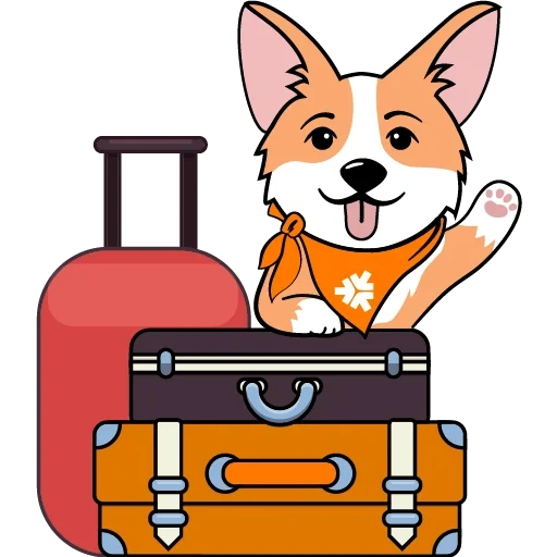 corgi, corgi codes, new year's corgi