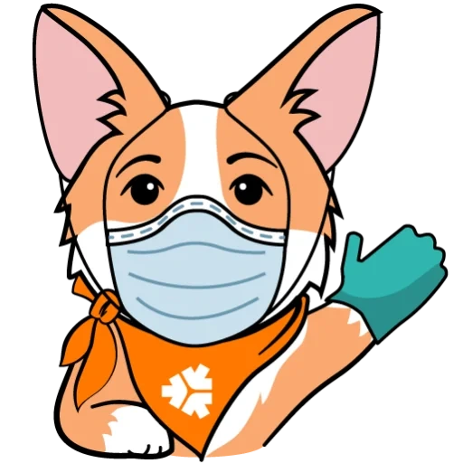 corgi, corgi medical mask