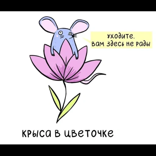 lotus flower, crocus flower, magnolia flower, crocus saffron drawing, the flower is a simple perianth