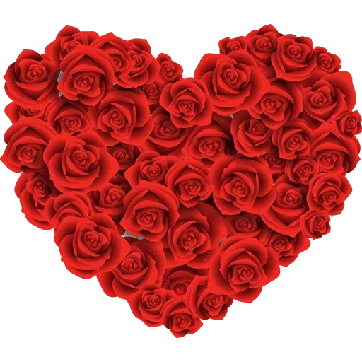 сердечко, сердце роз, розы сердце, цветы сердце, красные розы