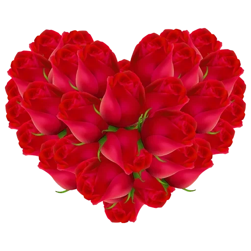 сердце розы, сердце цветов, цветы сердечки, розы форме сердца, сердце цветов прозрачном фоне