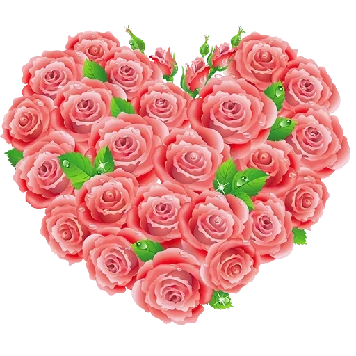сердце роз, розы сердце, розовые розы, розы сердечки, сердечки цветочки