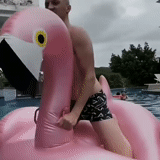 человек, фламинго розовый, надувной фламинго, мужчина надувном фламинго, надувной розовый фламинго
